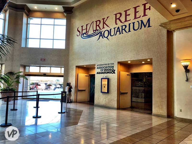 The entrance to Shark Reef