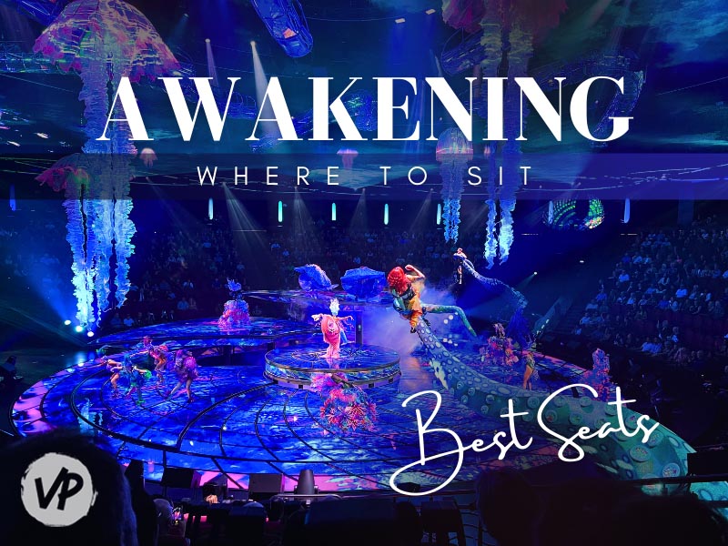 My seating guide for the Awakening show in Las Vegas