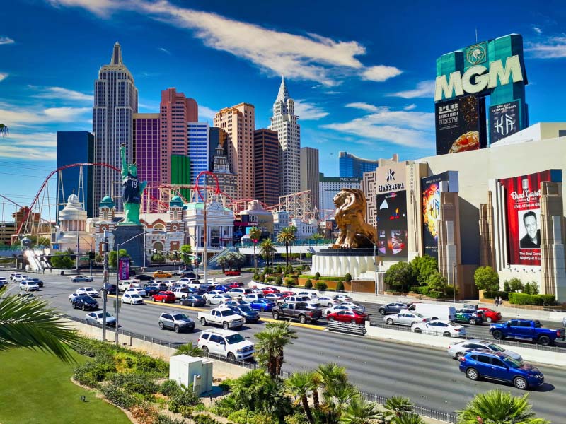 Picture of the MGM Grand and New York New York hotels